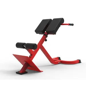 Ab Bench-silla romana con hiperextensión de 45 grados, Banco Abdominal, ejercicio de gimnasio