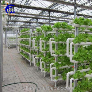 Invernadero Hidropónico de Policarbonato con Sistema de Cultivo para Vegetales - Product Image 5