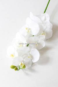 ดอกกล้วยไม้9หัว,ดอกกล้วยไม้สีขาวประดิษฐ์สีฟ้า