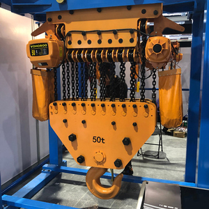 Lift Rantai Listrik 50 Ton Tugas Berat dengan Kualitas Tinggi dan Harga Bagus untuk Layanan Kustom Pelanggan - Product Image 4
