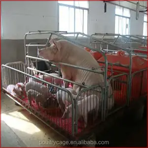 Vườn Ươm Thiết Bị Bảo Tồn Giường, Thép Lưới Heo Con Bảo Tồn Giường/Pig Farming Thiết Bị/Pig Nursery Cage