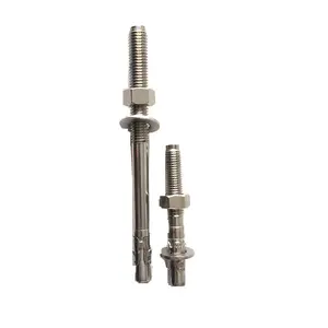 ฟรีตัวอย่างทั่วโลก 304 316 สแตนเลสสตีล Wedge Anchor Bolt ขยาย Bolt M12 M14 M16 M20