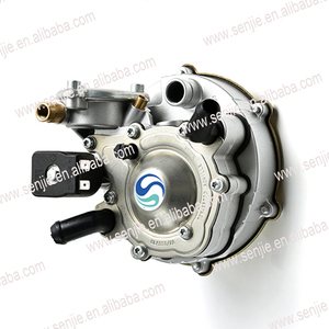 LPG Single Point Reducer/gas Pressure Regulator