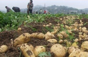 Mkl395 sinh khối gỗ <span class=keywords><strong>pelletizer</strong></span> Mills làm máy PELLET giá - Product Image 5