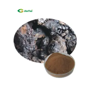 black shilajit food grade fulvic acid Mineral Pitch shilajit