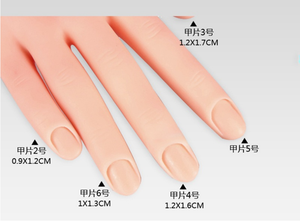 Adjustable <strong>Nail</strong> Art <strong>Practice</strong> Model <strong>Nail</strong> <strong>Hand</strong> for Training and Display - Product Image 5