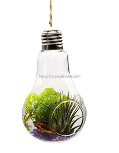 ชุดใหม่2หลอดไฟรูปทรงแก้วใสต้นไม้จำลองพร้อมสายแขวน - Product Image 2