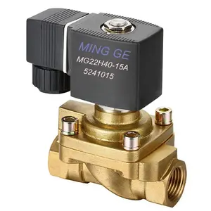 MGPC MINGGE 5241015 High Pressure Solenoid Valve 1/2" 40 Bar Solenoid Valve