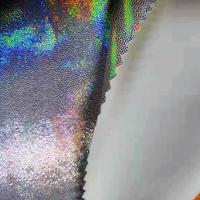Mystique Ombre Hologram Spandex Kumaş Gümüş/Gümüş