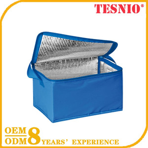 Botella de nylon Gran Forma Animal Electrian Lindo Pequeño Bolso Del Refrigerador de Hielo Gel Packs Para El Envío - Product Image 1