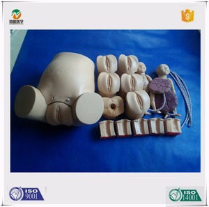 <span class=keywords><strong>Recursos</strong></span> Didácticos BIX-F50 simulador de nacimiento del parto con todas las funciones - Product Image 1