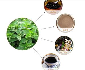 Materiale per Gelatina di Fagioli di Grado Alimentare, Piante Intere Selvatiche <span class=keywords><strong>Essiccate</strong></span> Naturali Mesona Chinensis per <span class=keywords><strong>Verdure</strong></span> Secche - Product Image 3