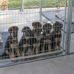 Kandang Anjing Peliharaan Mudah Dirakit, Kandang Anjing Peliharaan Luar Ruangan - Product Image 4