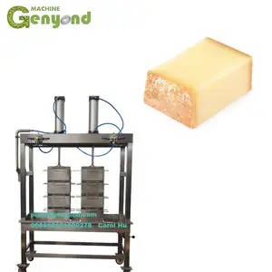 1000L/H חלב קלט ייצור גבינה מכונת מוצרלה