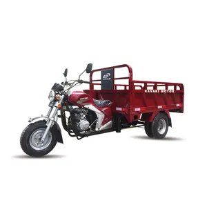 Hot Selling Scooter 250CC Air Cooled Lifan Engine Tuk Tuk Cargo tricycle Adult 3 Wheel Motorcycle trailer