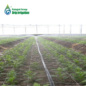 Tuyau d'arrosage au <span class=keywords><strong>goutte</strong></span>-<span class=keywords><strong>à</strong></span>-<span class=keywords><strong>goutte</strong></span>, tube d'irrigation de jardin agricole, 300 m, 16mm, micro spray d'irrigation - Product Image 6