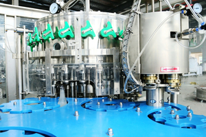 Automatique Machine de Remplissage d'eau minérale prix/machines de l'usine coût - Product Image 2
