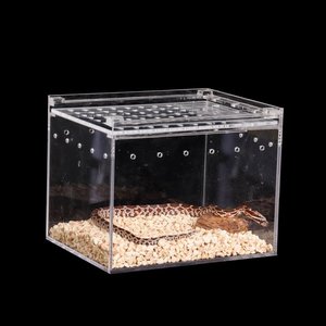 Terrario in Plexiglass per Rettili, Gabbia in Acrilico per Ragni, Lucertole, Gechi e <span class=keywords><strong>Serpenti</strong></span> - Product Image 4
