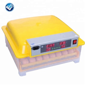 <span class=keywords><strong>วิธี</strong></span>การทำตู้ฟักไข่48ในฟิลิปปิน<span class=keywords><strong>ส</strong></span>์ - Product Image 5