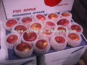 Fruta de manzana fresca, precio de China - Product Image 4