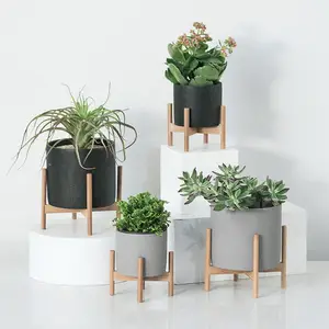 Zement Sukkulenten Pflanzer topf, Moderne Beton decor, Minimalistischen Indoor Blume Topf mit holz rack