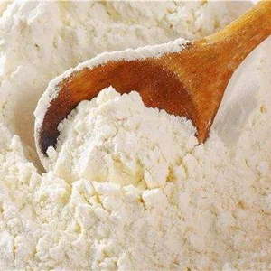 Produk Baru Gandum Gluten Penting dengan Harga dan Kualitas Terbaik