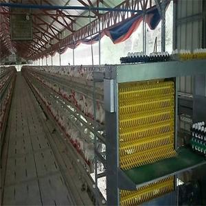 Poulailler automatique <span class=keywords><strong>de</strong></span> type A à 3 rangées, 3 et 4 étages Cage pour poules et œufs à usage domestique et au détail Cages pour animaux - Product Image 4