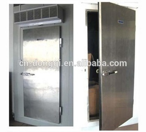 Blast Freezer Cold Storage Freezer Mini Cold Storage Portable Small Air Blast Freezer Price Shock Freezer With PU Panel With Condensing Units For Fish Chicken
