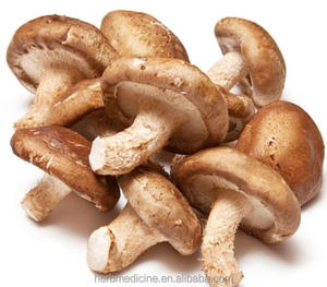 しいたけ乾燥乾燥剤菌食用乾燥全粒粉 - Product Image 2