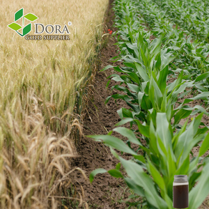 Dora veicolo aereo senza equipaggio Drone Basics fertilizzante liquido di aminoacidi - Product Image 6