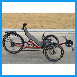 Humanos-Potencia from pedaling assisted 3 wheels Tricycles decubitus with suspension Back - Product Image 6