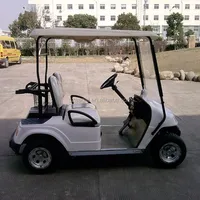 EG2028K-buggy de golf para uso en hotel, 2 asientos, utilidad para coche eléctrico