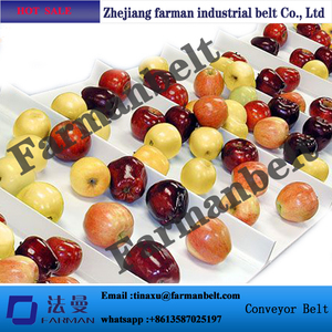 Sabuk konveyor katun putih PVC/PU 1.6mm untuk pasta adonan - Product Image 2