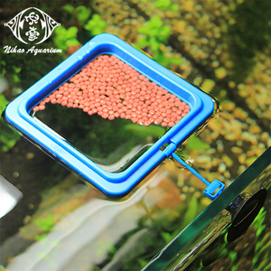 Anillo Flotante Cuadrado Azul para Alimentar Peces - Comedero Duradero con Ventosa para Acuarios, Ideal para Peces Pequeños, <span class=keywords><strong>Guppys</strong></span> y Bettas - Product Image 4