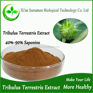 De alta pureza natural nerunji mull linn extrato de tribulus terrestris pó - Product Image 2