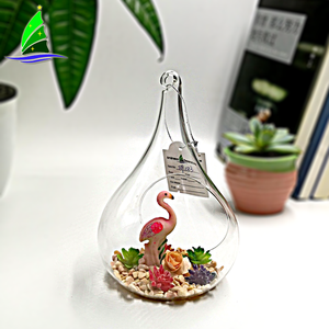 <span class=keywords><strong>Terrarium</strong></span> de verre transparent soufflé à la main, Vase de planteur en verre soufflé, pour décoration de maison - Product Image 2