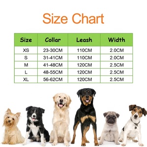 Hunde halsband und Leine Set Blumen Hunde halsband Tag Metalls chnalle Verstellbar für extra kleine Jungen Mädchen Hunde Katzen Haustiere - Product Image 6