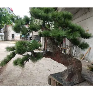 Yüksek kalite 50cm yükseklik yapay bonsai çam ağacı bitki, kapalı mini yeşil çam ağacı yapay satılık