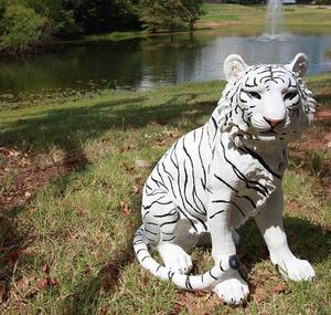 Escultura de Animal Decorativa, Estatua de Tigre Blanco de Fibra de Vidrio de Tamaño Real - Product Image 4