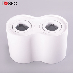 Nhà Cung Cấp Đèn Âm Trần Đèn Chiếu Sáng Gắn Trên Bề Mặt Xi Lanh Đèn Led Chiếu Sáng Hai Đầu Cho Nhà Hàng - Product Image 2