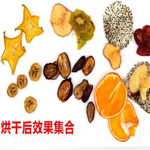 Chuyên Nghiệp Trái Cây Sấy Khô Thiết Bị/Trái Cây Máy Sấy Máy/Công Nghiệp Trái Cây Dehydrator - Product Image 5