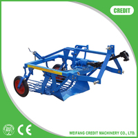 POTATO HARVEST, BEST SELLING and High Quality