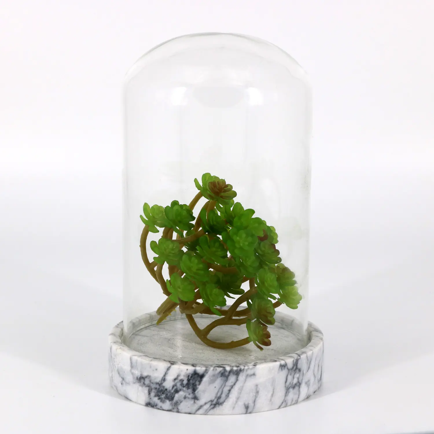 Vendita diretta Base in marmo piante succulente con copertura in vetro sferico Design in plastica giardino casa vivaio scrivania Patio-stile europa