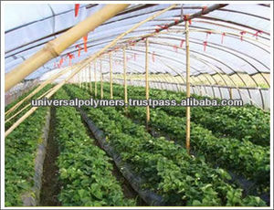 ฟิล์มเรือนกระจก - Product Image 4