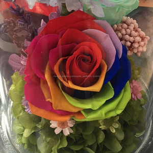 Artificial ecuadoran Roses real preservada fresca Rose flores para Navidad - Product Image 1