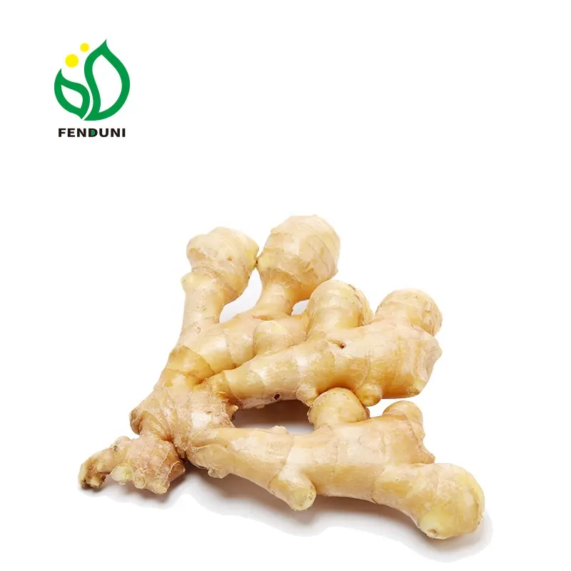 زنجبيل طازج للبيع جديد المحاصيل ، 150g/200g/250g/300g حزمة في شبكة حقيبة/pvc الكرتون