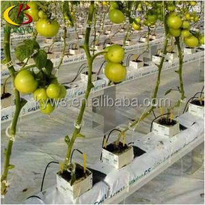 Máng xối phát triển hệ thống cho nhà kính sản xuất thủy canh chất nền trough cho dâu tây - Product Image 2