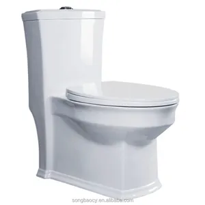9240 Transparent toilet bowl with 4D Flushing power