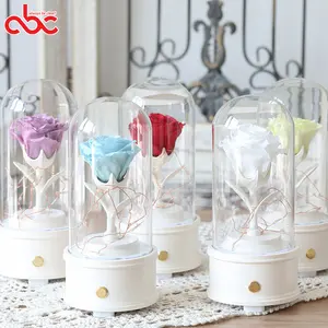 Led Light Bluetooth Music Glass Dome With Wooden Base For Display Preserved Rose Flower