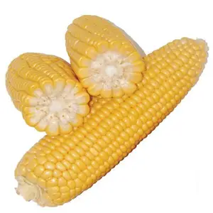 Healthy Food Cut/Whole IQF Vegetables Bulk Frozen Sweet Corn